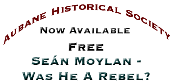 Moylan Rebel